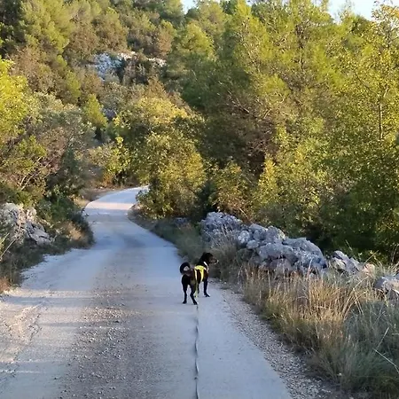 Kuca Mali Raj - Little Paradise *