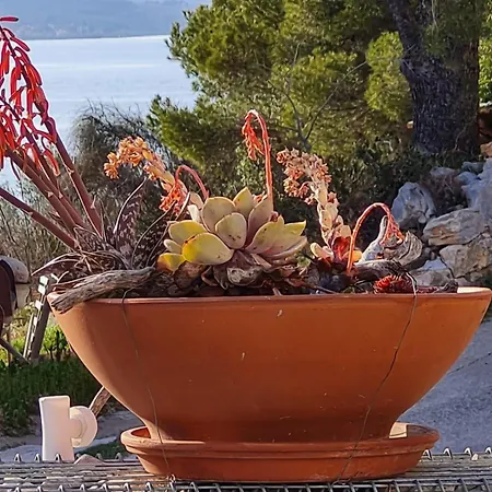 Kuca Mali Raj - Little Paradise Prázdninový dům Šibenik