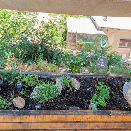 Kuca Mali Raj - Little Paradise Vakantiehuis