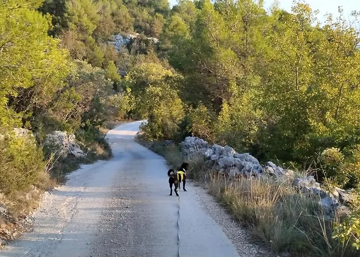 Kuca Mali Raj - Little Paradise *