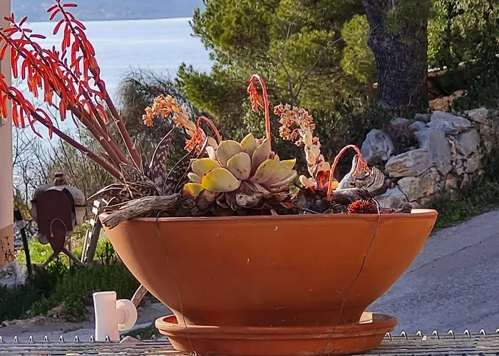 Kuca Mali Raj - Little Paradise Vikendica Sibenik