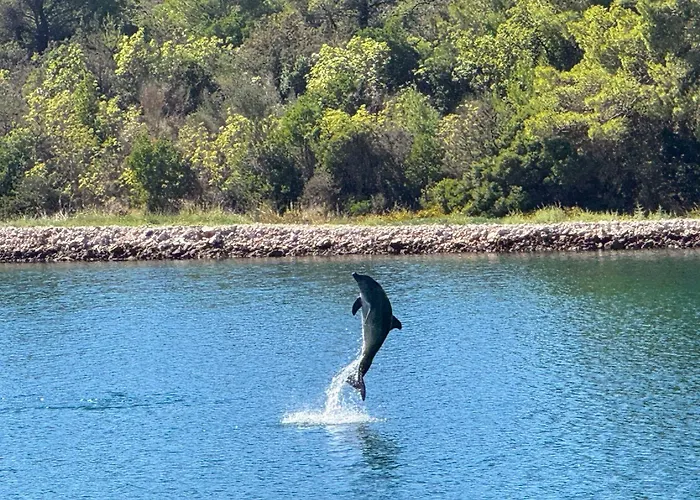 Vikendica Kuca Mali Raj - Little Paradise
