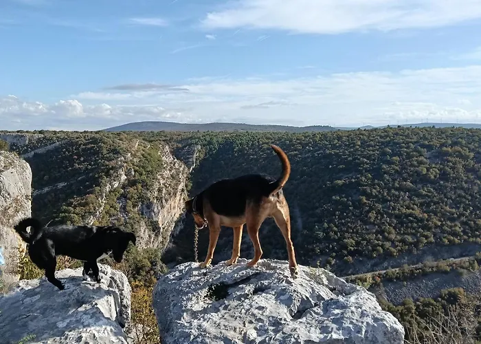 Kuca Mali Raj - Little Paradise Vikendica *